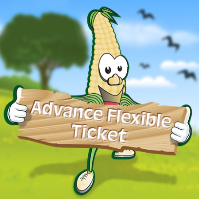 Standard Flexible Ticket